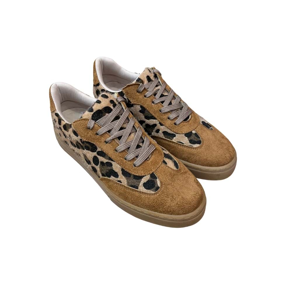 WL 7010-02-LEOPAR/CAMEL-36